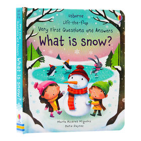 什么是雪 英文原版 Usborne Questions And Answers What Is Snow 科普绘本翻翻书 百科生活常识 英文版进口早教启蒙英语书籍