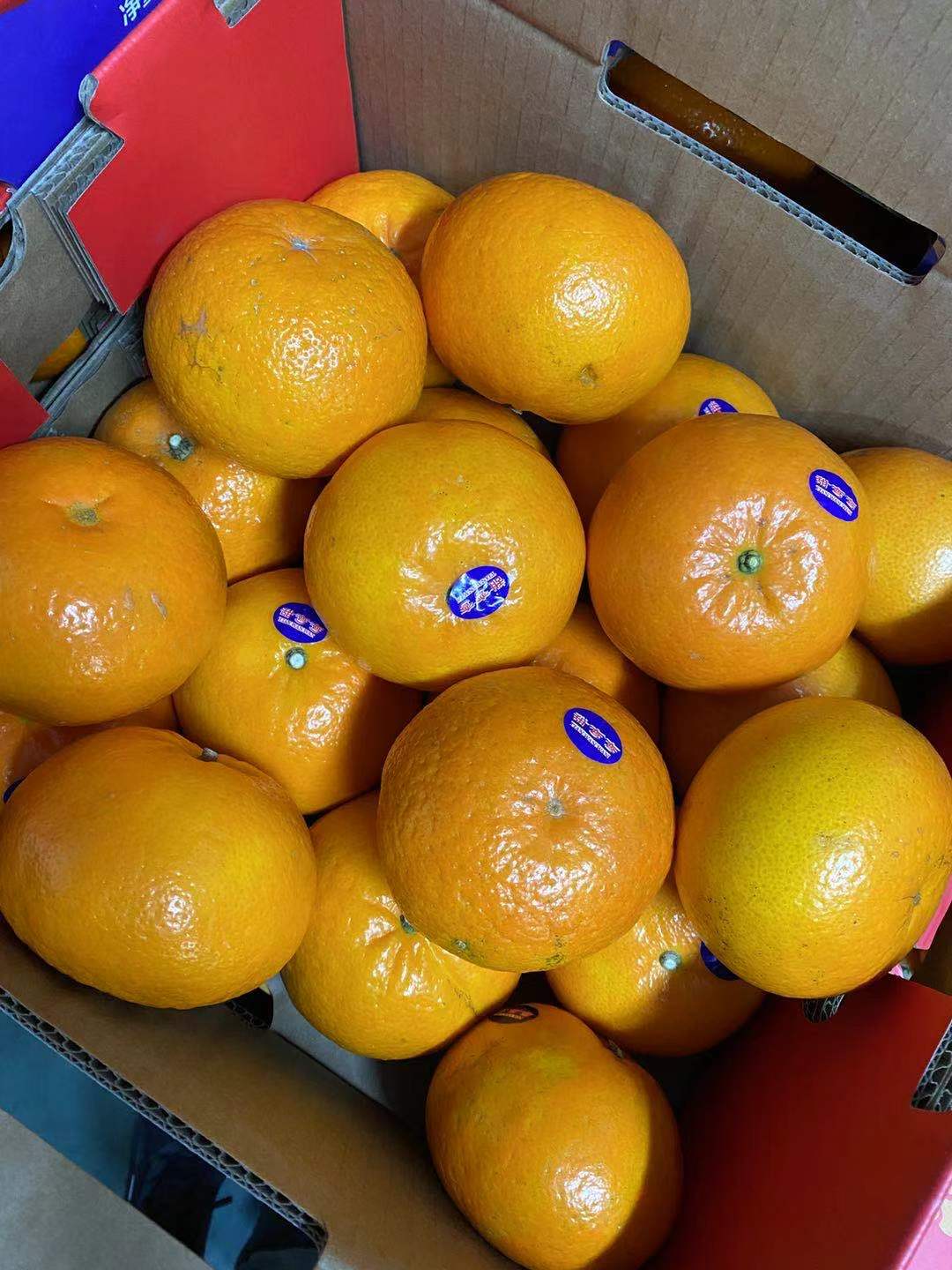 周五取货:【甜弯弯沃柑】整箱净重10斤,半箱5斤左右,新鲜多汁,甜到