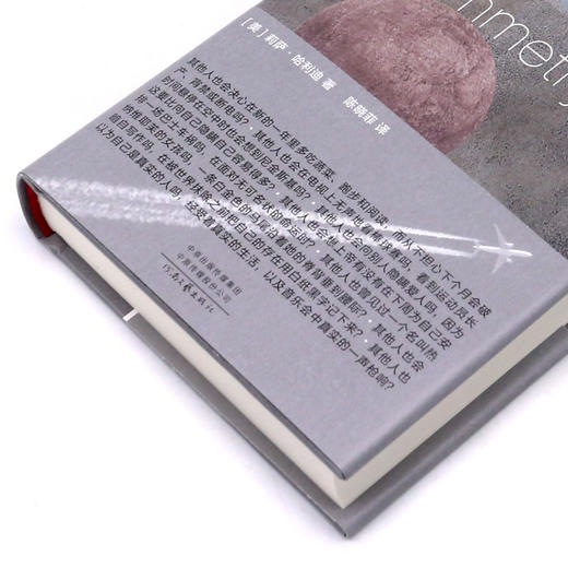 不对称(精) 商品图2