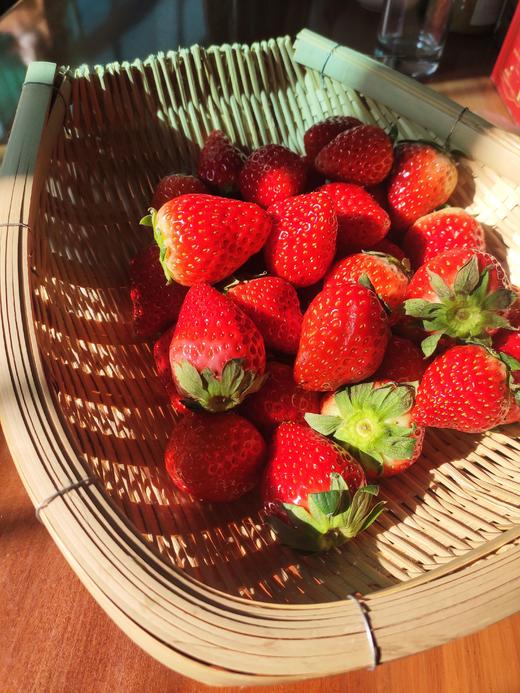 【2025年草莓】香甜纯净  有机草莓  安全自然之味  年头的红鹤 商品图3