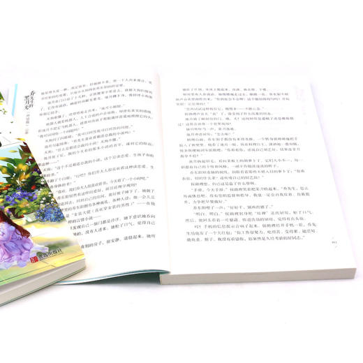 乔先生的黑月光(终结篇共2册) 商品图4