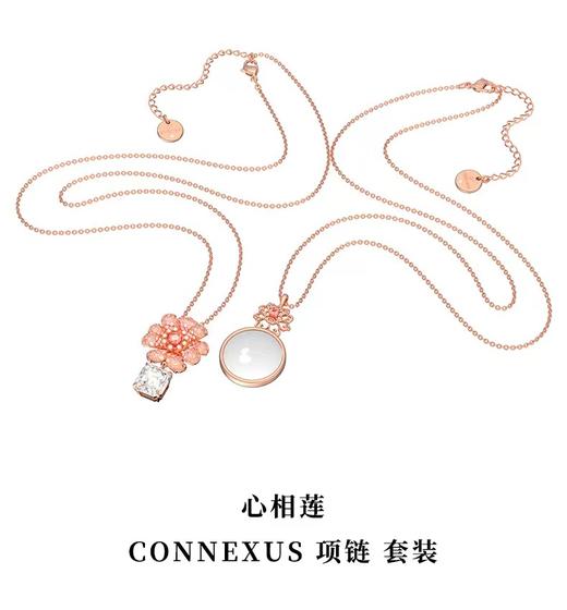 百货世界-CONNEXUS 心相莲莲花 商品图0