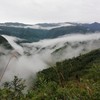 丨有机丨  高山糯山药 山药豆  来自“大熊猫”故乡雅安 ，海拔2000米高山 商品缩略图8