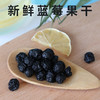 【自营】蓝莓干当地250g 商品缩略图2