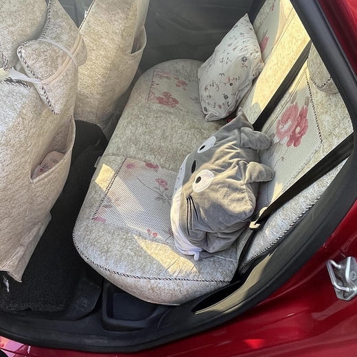 福特 福克斯 两厢 1.6L 自动风尚型 【长租-北京】 商品图6