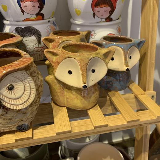 【园艺】卡通多肉花盆 商品图2