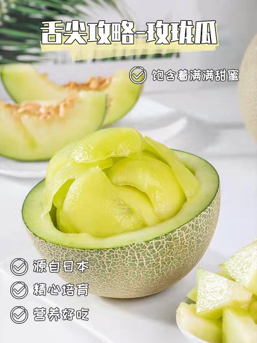 日本玫珑网纹瓜 2枚装 商品图1