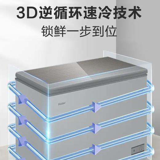 海尔（Haier）冰柜BC/BD-103HMC 商品图1