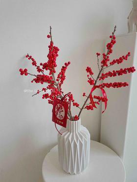 冬青瓶花 · 瓶插花  （花瓶单拍）