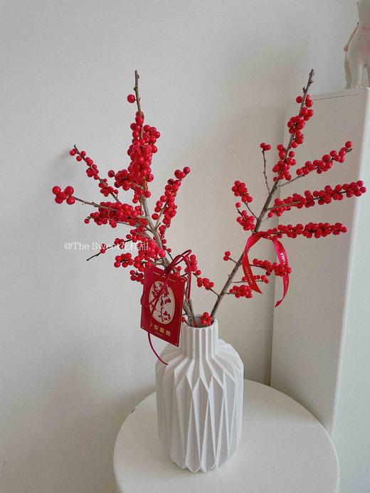 冬青瓶花 · 瓶插花  （花瓶单拍） 商品图0