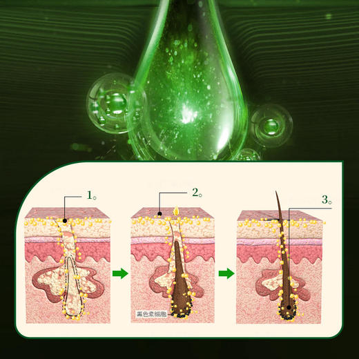 【买2送1 买3送2】HZ净爽海盐洗发膏 乌斯玛草精粹 减少掉发白发养发护发260g/瓶 商品图4