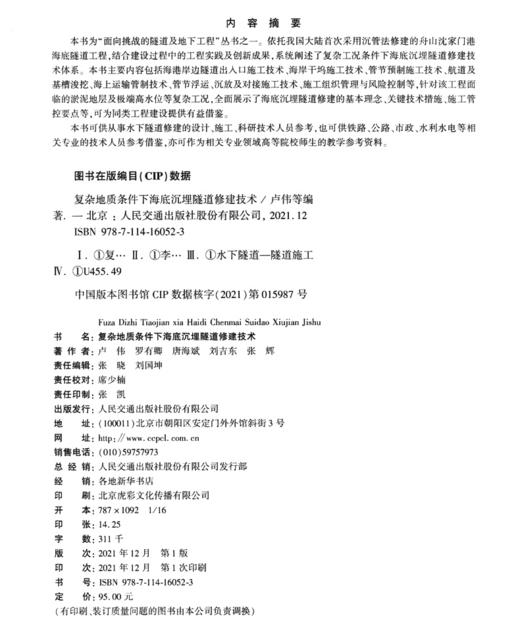 复杂地质条件下海底沉埋隧道修建技术 商品图3