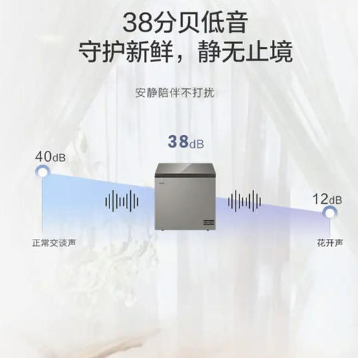 海尔（Haier）冰柜BC/BD-103HMC 商品图6