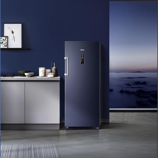 海尔（Haier）立式冷柜BD-192WGHS9B8深海蓝 商品图5