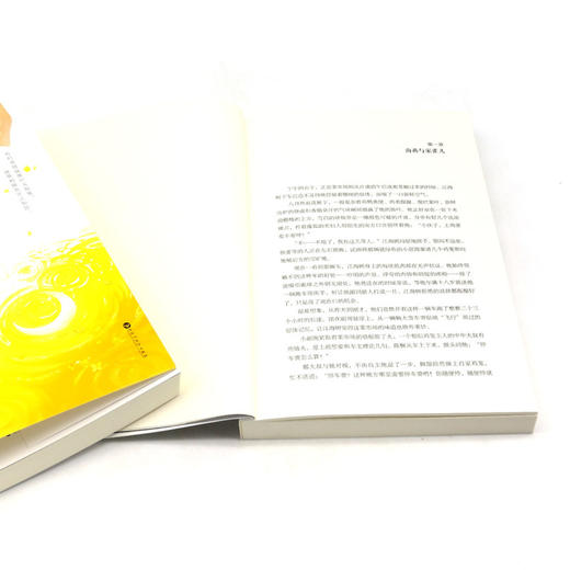 针尖蜜(共2册) 商品图4