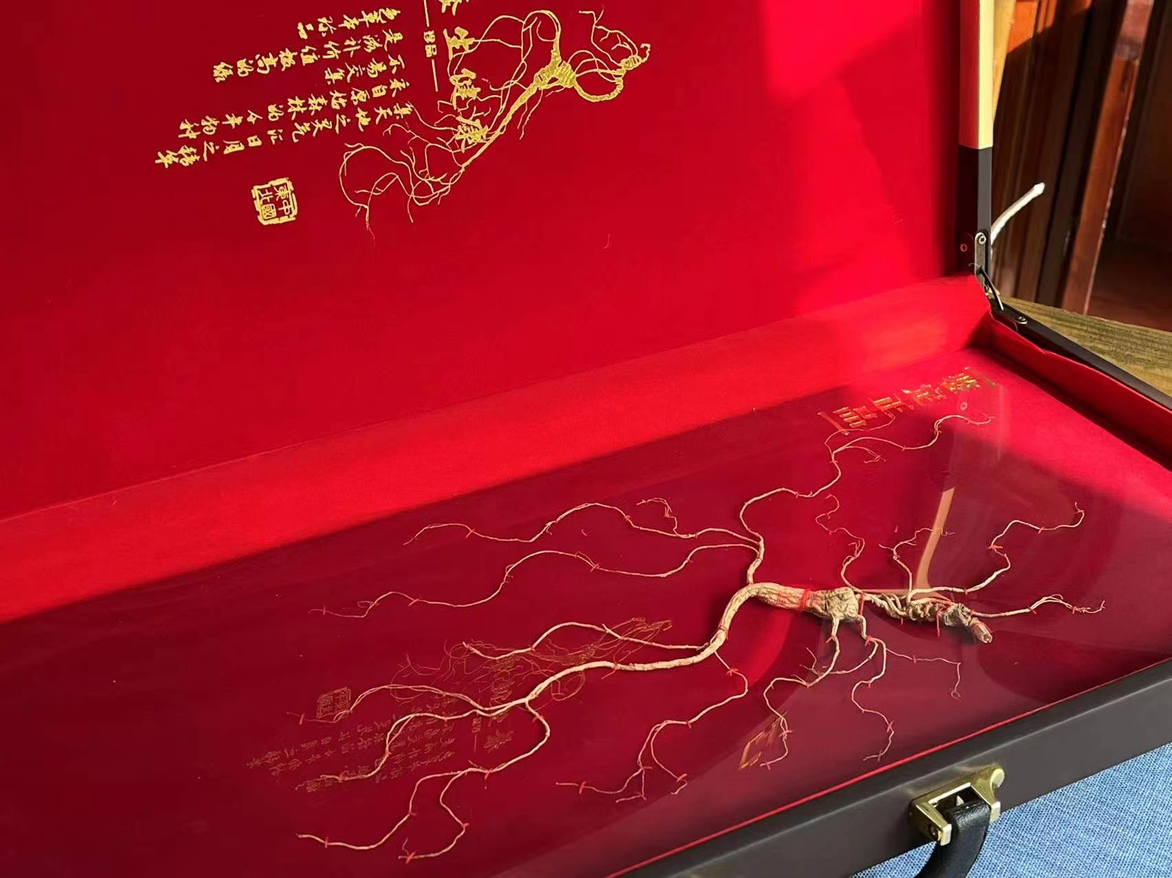 长白山【林下干参】自然生长，给父母补补底气