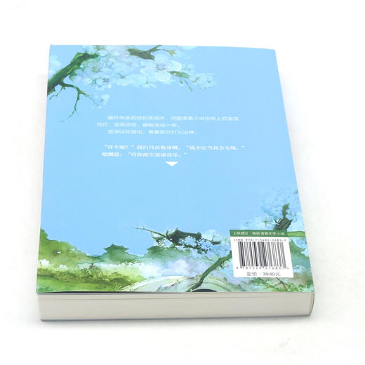 白月照楚渊(网络原名帝王攻略) 商品图3