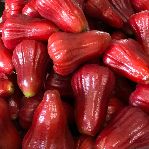 海南黑金刚莲雾精品礼盒   京东/顺丰空运 商品图4