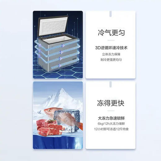 海尔（Haier）冰柜BC/BD-103HMC 商品图5