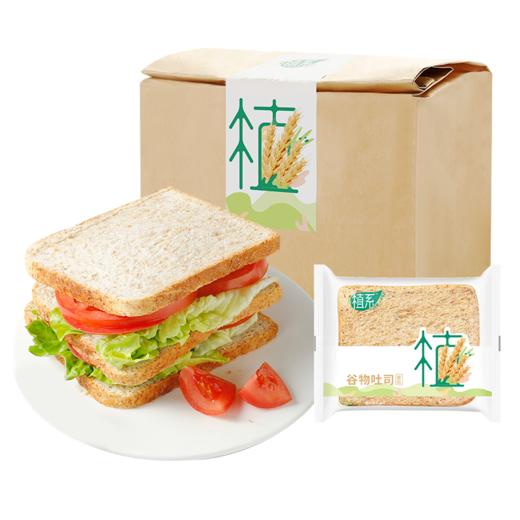 卡尔顿谷物吐司540g 商品图0
