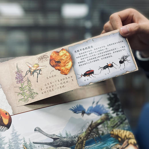 【张泉灵老师专享】神秘日志系列：恐龙寻踪+汽车时代+达尔文环球旅行 商品图10