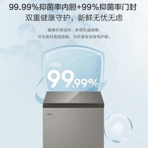 海尔（Haier）冰柜BC/BD-103HMC 商品图9