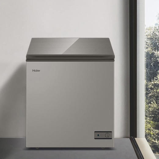 海尔（Haier）冰柜BC/BD-103HMC 商品图10