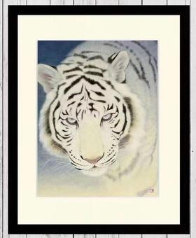 武蔵原裕二-老虎 75版