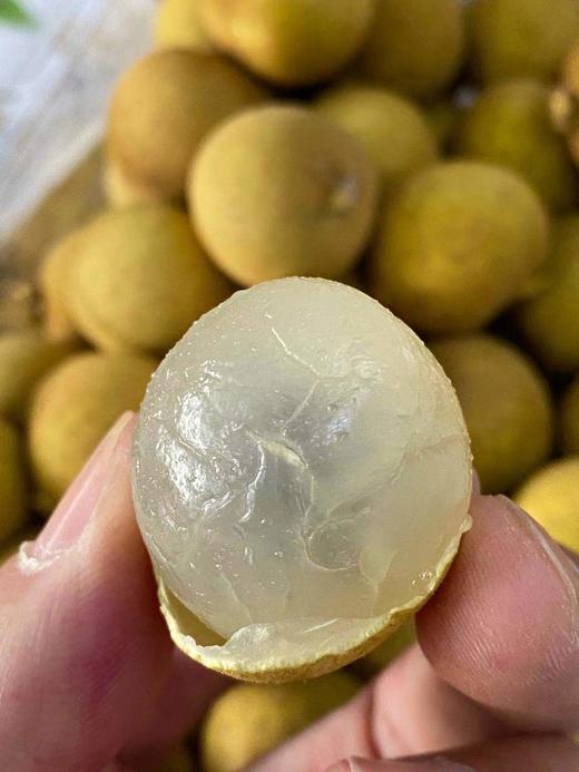 周四取货：【金果源鲜龙眼】一盒2斤左右，颗颗饱满，晶莹剔透！  肉厚多汁，甜嫩香滑，甜到齁人！ 商品图1