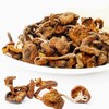 【自营】野生榛蘑500g 商品缩略图1