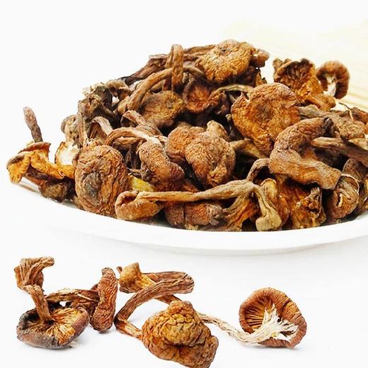 【自营】野生榛蘑500g 商品图1