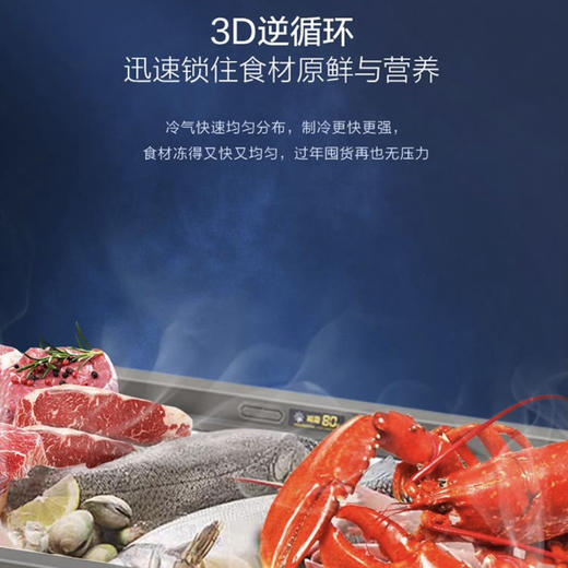 海尔（Haier）冰柜BC/BD-103HMC 商品图13