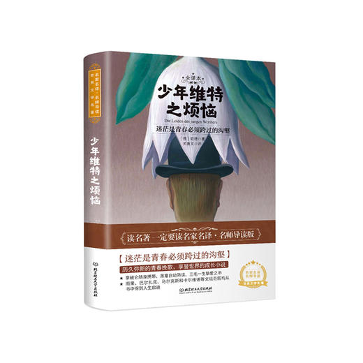 少年维特之烦恼  商品图0
