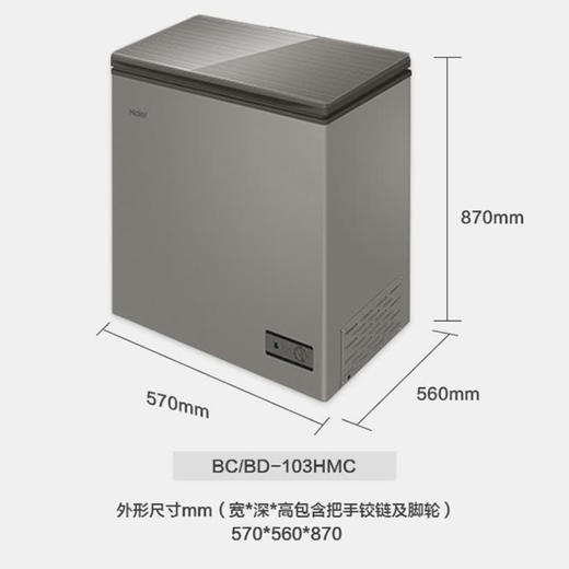 海尔（Haier）冰柜BC/BD-103HMC 商品图14