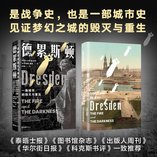 德累斯顿：一座城市的毁灭与重生 商品图2
