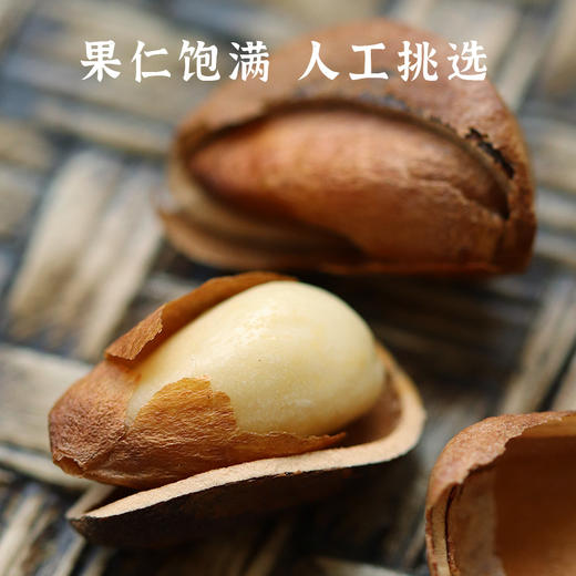 【自营】松子500g 商品图5