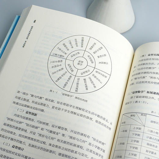 数学学科课程决策 专业视角 杨四耕主编 品质课程聚焦丛书 数学课程建构 数学课堂教学 小学案例 商品图3