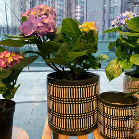 【园艺】陶瓷花盆三件套