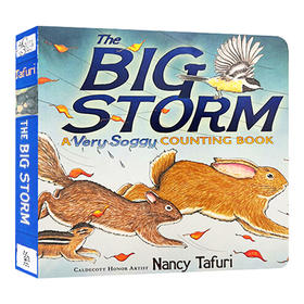 大风暴 数字认知纸板书 英文原版 The Big Storm 儿童晚安故事绘本 凯迪克大奖作家 Nancy Tafuri 英文版进口原版英语书籍