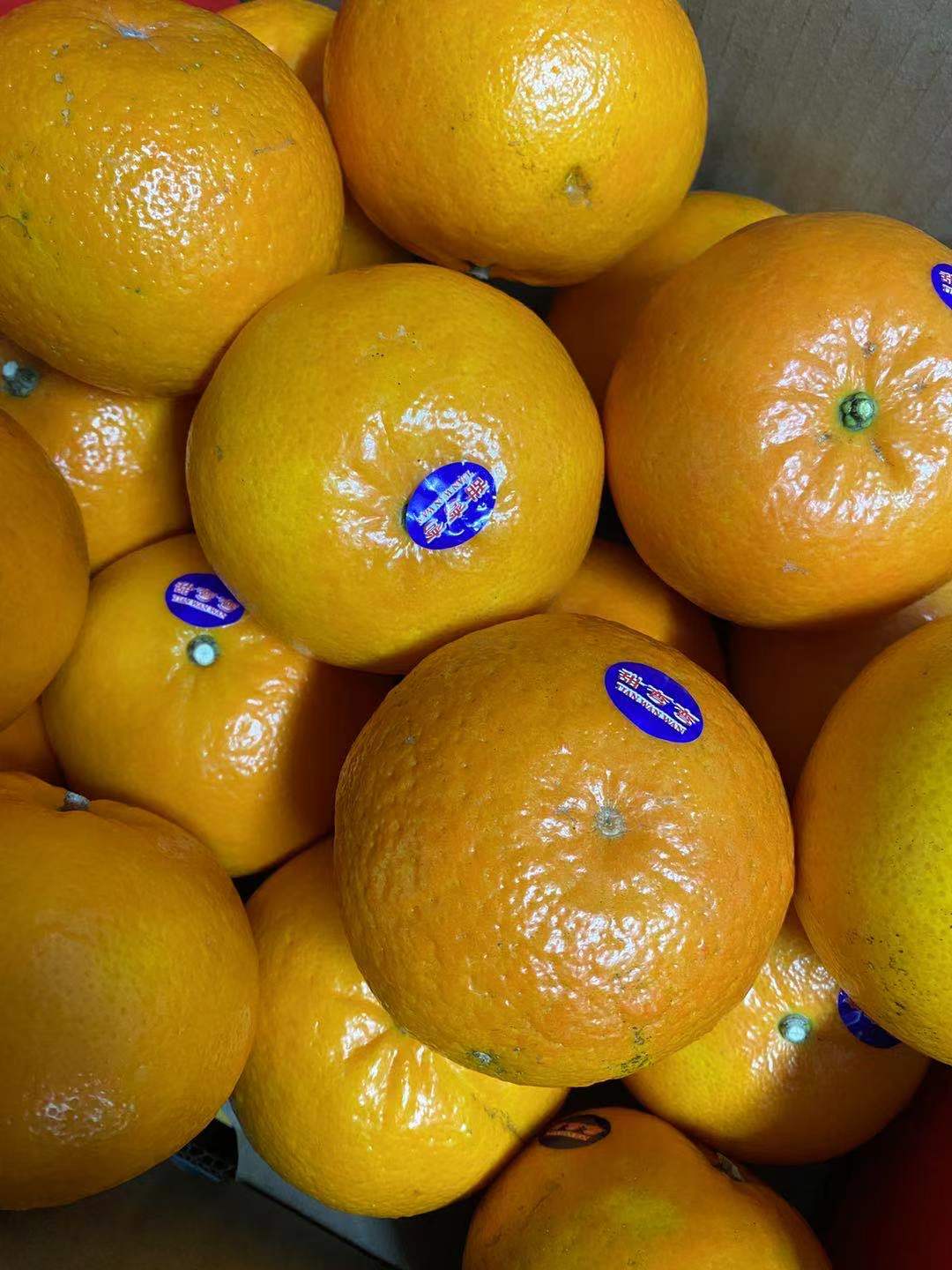 周五取货:【甜弯弯沃柑】整箱净重10斤,半箱5斤左右,新鲜多汁,甜到
