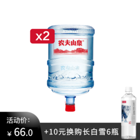 农夫山泉19L*2桶，加10元换购长白雪535ml*6瓶（图案随机）