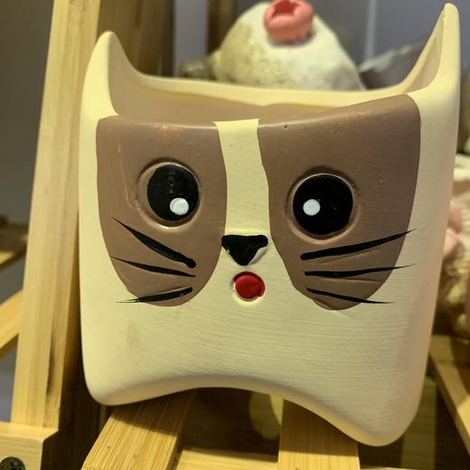 【园艺】卡通多肉花盆 商品图1