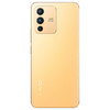 vivo S12 12GB+256GB  一亿像素 4400万超清前置 KPL比赛用机测试认证 快充 智能 长续航 游戏 5G手机 商品缩略图7