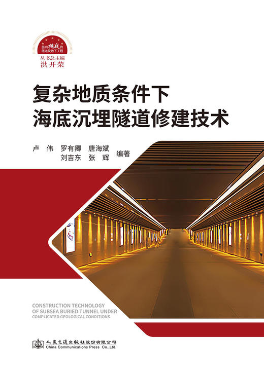 复杂地质条件下海底沉埋隧道修建技术 商品图2