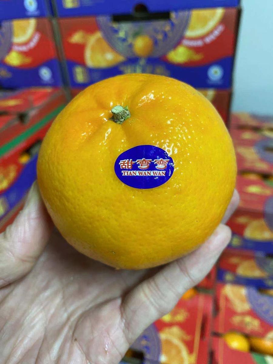 周五取货【甜弯弯沃柑】整箱净重10斤,半箱5斤左右,新鲜多汁,甜到