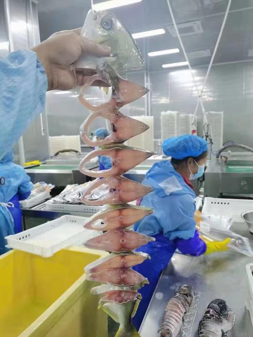 拉花金鲳鱼450克/条 商品图1