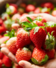 【2025年草莓】香甜纯净  有机草莓  安全自然之味  年头的红鹤 商品缩略图0