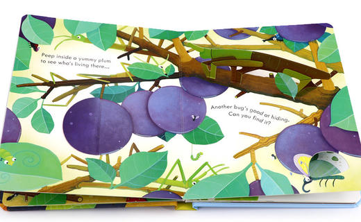 偷偷看里面系列 虫穴 英文原版 Peep Inside Bug Homes 儿童昆虫科普 自然世界 洞洞书 纸板翻翻书 英文版英语启蒙学习书籍 商品图3