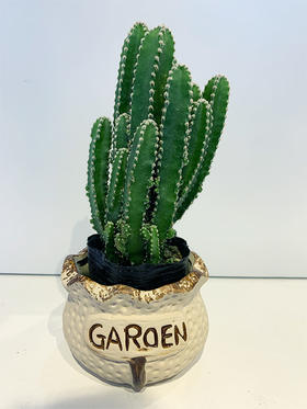 【绿植】万重山