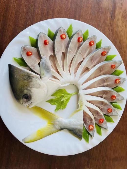 拉花金鲳鱼450克/条 商品图0